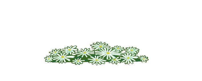 Paintied mound of daisies.